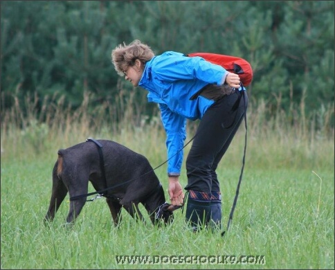 Summer training camp in Estonia 2007